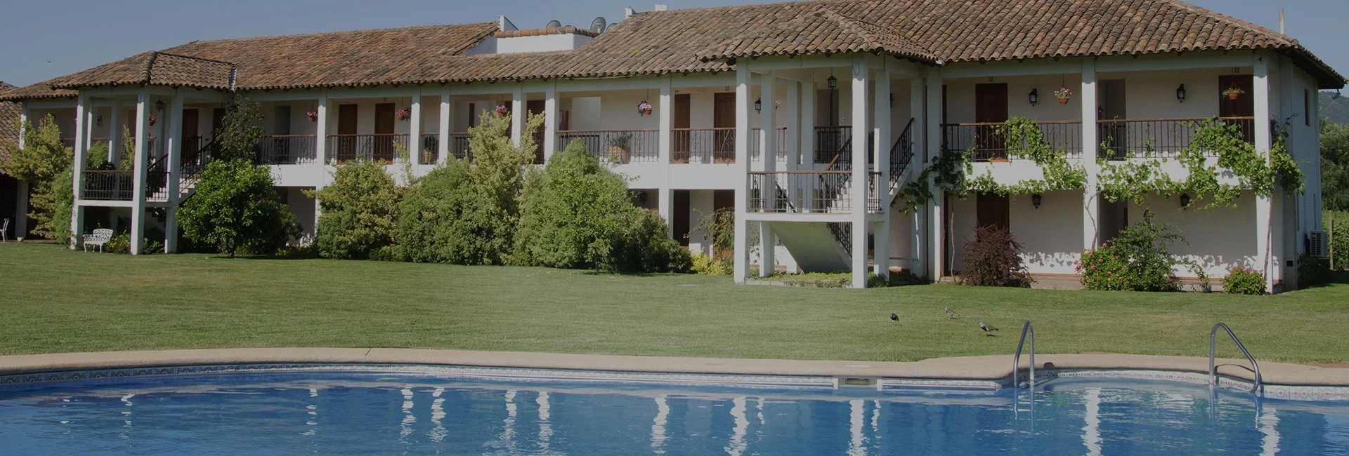 Hotel Terra Vina Pool Area