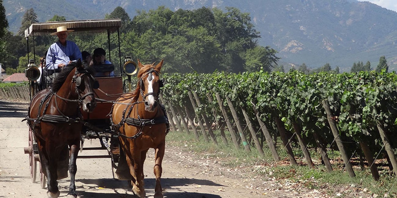 Viu Manent Winery Carriage rides