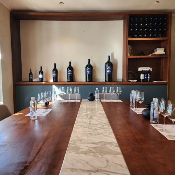 Wine tasting at Clos Apalta winery, Colchagua Chile