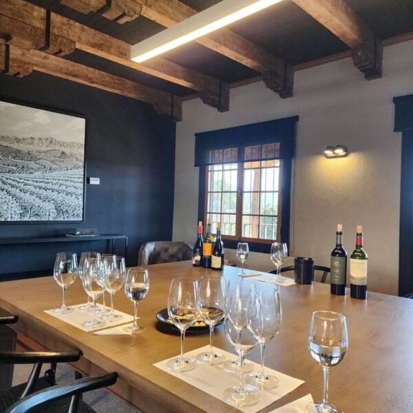 Wine tasting at MontGras winery, Colchagua Chile