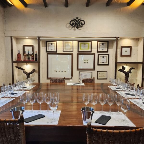 wine tasting at Viu Manent winery, Colchagua Chile
