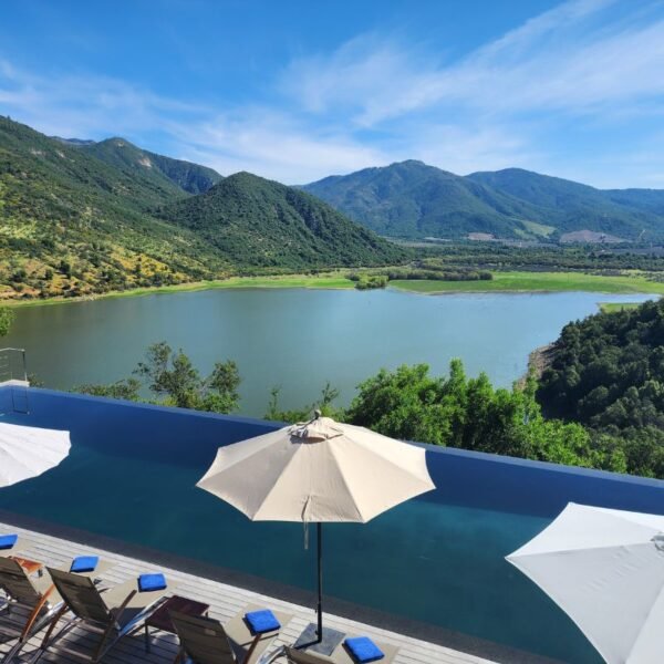 Pool view at VIK Chile winery hotel