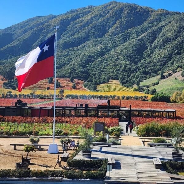 Francis Mallmann Restaurant Chile