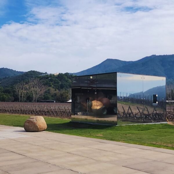 VIK winery glass tasting room, Millahue Colchagua, Chile