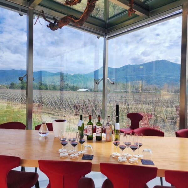 Wine tasting table set with glasses on the terrace at VIK winery, Millahue Colchagua, Chile