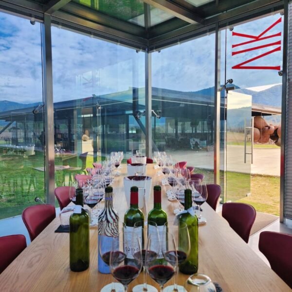 Guests wine tasting inside VIK's glass-walled tasting room overlooking the vineyards, Chile