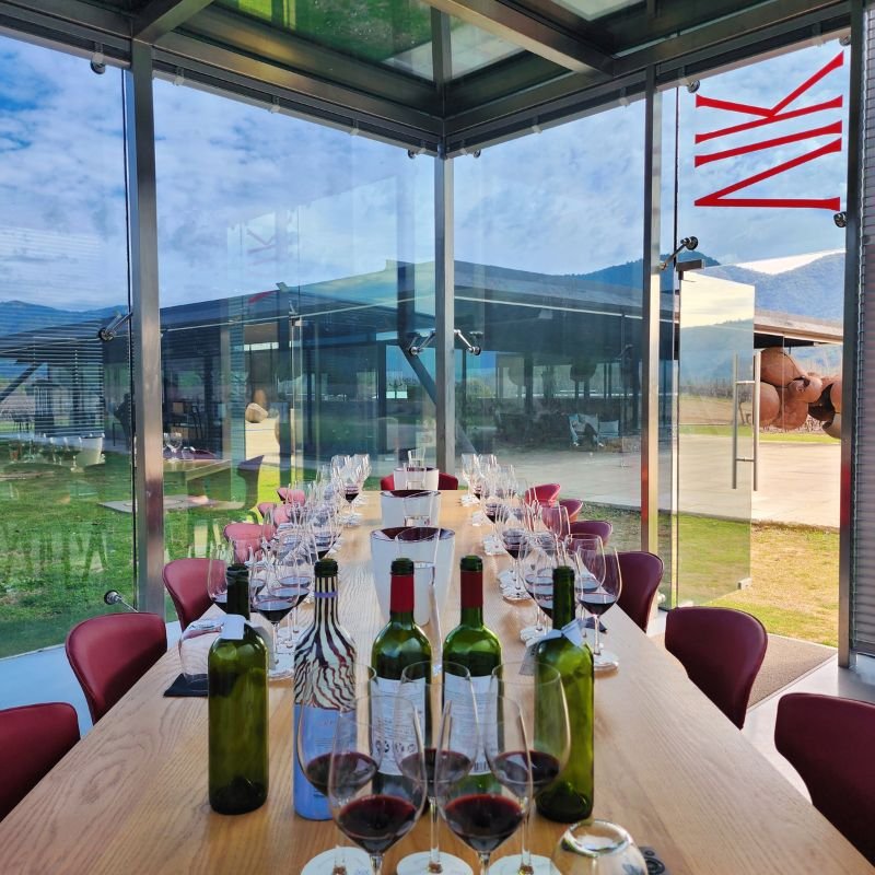 Guests wine tasting inside VIK's glass-walled tasting room overlooking the vineyards, Chile